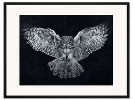 Gerahmter Kunstdruck Nachtflug der Eule