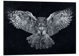 Gallery print Night Flight of The Owl