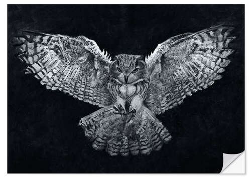 Selvklebende plakat Night Flight of The Owl