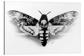 Aluminiumsbilde Death Head Hawk Moth