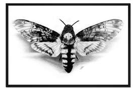 Gerahmter Kunstdruck Totenkopf Falter