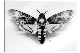 Gallery print Death Head Hawk Moth