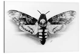 Magnettafel Totenkopf Falter