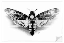 Wall sticker Death Head Hawk Moth