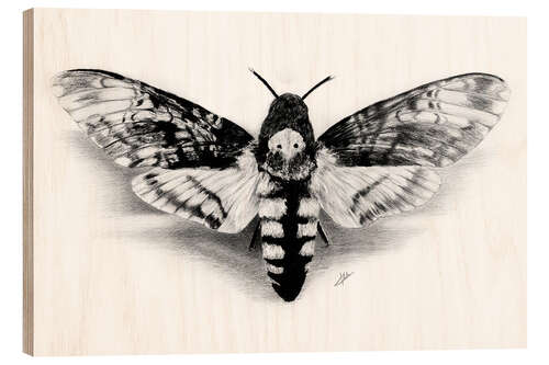 Wood print Death Head Hawk Moth