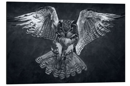 Aluminium print Mystical Owl