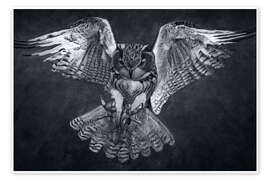 Wall print  Owl 2 - Christian Klute