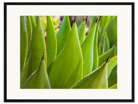 Gerahmter Kunstdruck Alles Grün