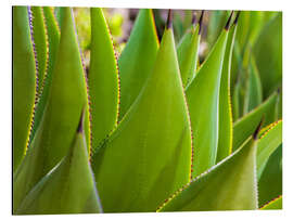 Magnettafel Alles Grün