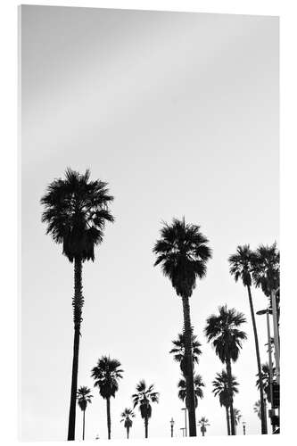 Acrylic print Boulevard under the palm trees