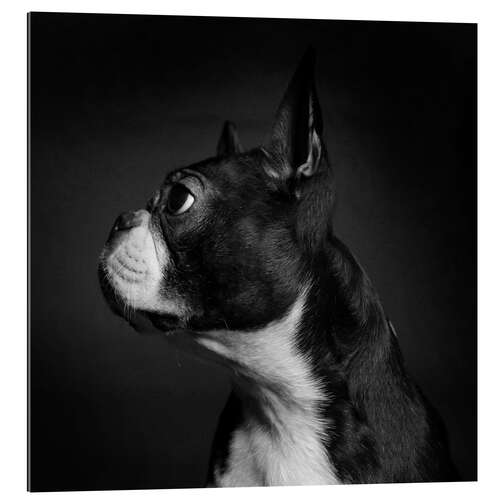 Gallery print Fido the Emperor