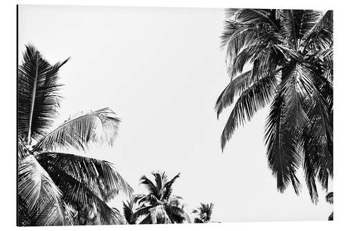 Aluminium print Under palm trees