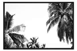 Gerahmter Kunstdruck Unter Palmen