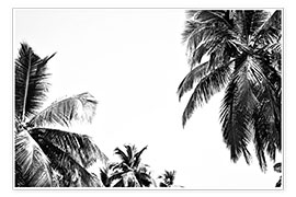 Poster Sous les palmiers
