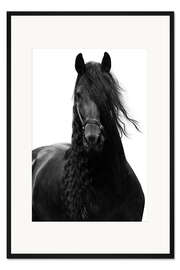 Gerahmter Kunstdruck Rappe