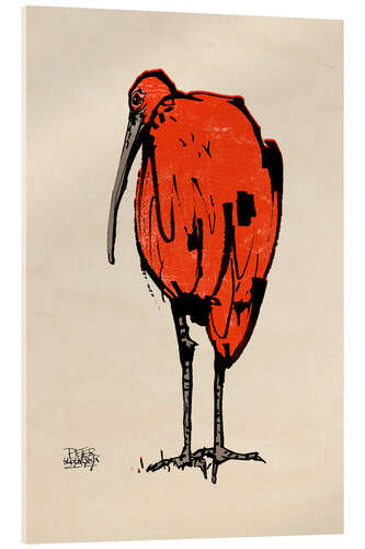 Akrylbilde Ibis
