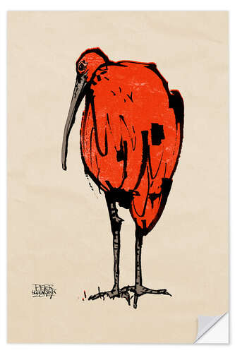 Sisustustarra Ibis