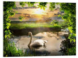 Obraz na szkle akrylowym Romantic swan pond