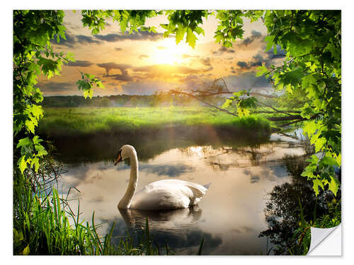 Selvklæbende plakat Romantic swan pond