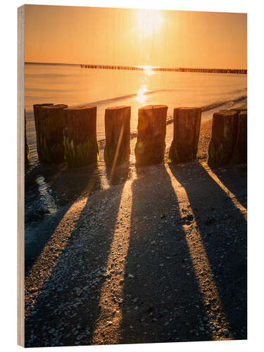 Holzbild Streiflichter