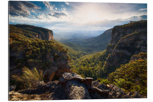 Gallery Print Blue Mountains, Australien