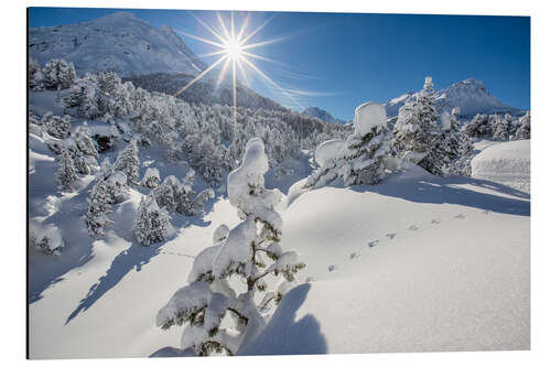 Aluminiumsbilde Snowy woods Maloja Switzerland