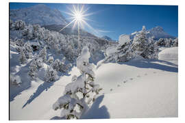 Aluminium print Snowy woods Maloja Switzerland