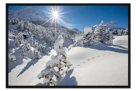 Gerahmter Kunstdruck Schneebedeckte Wälder Maloja Schweiz