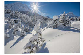 Foam board print Snowy woods Maloja Switzerland