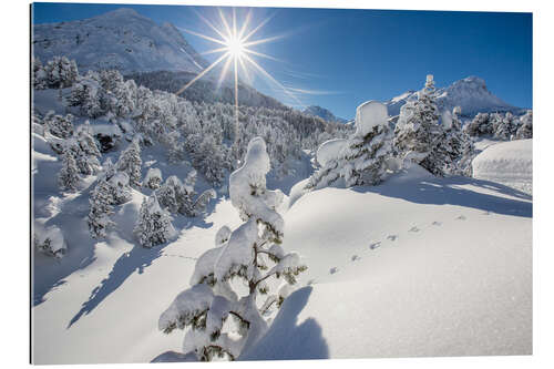 Gallery Print Schneebedeckte Wälder Maloja Schweiz