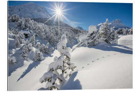 Gallery print Snowy woods Maloja Switzerland