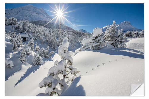 Vinilo para la pared Snowy woods Maloja Switzerland