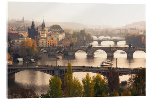 Acrylic print The bridges of Prague