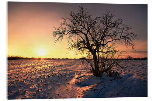 Acrylic print Sunset in winter