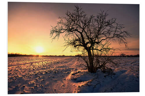 Hartschaumbild Sonnenuntergang im Winter