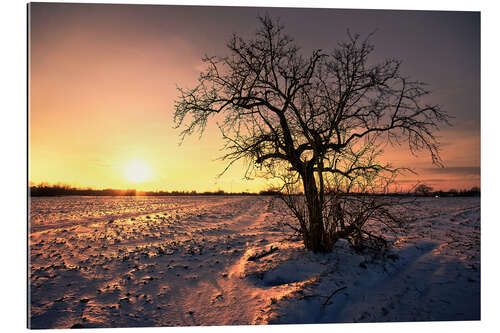 Gallery print Sunset in winter