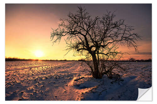 Vinilo para la pared Sunset in winter