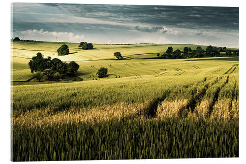 Acrylic print Field in summer, Germany