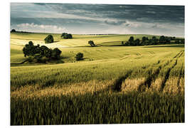 Foam board print Field in summer, Germany