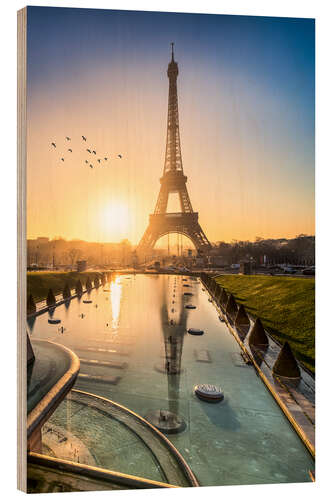 Hout print Romantic sunrise at the Eiffel Tower in Paris, France