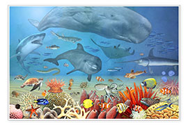 Wall print  Animals in the sea - Marion Krätschmer