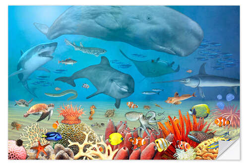 Selvklebende plakat Animals in the sea