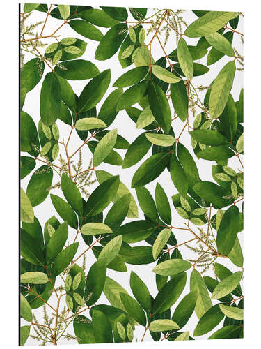 Aluminium print Greenery