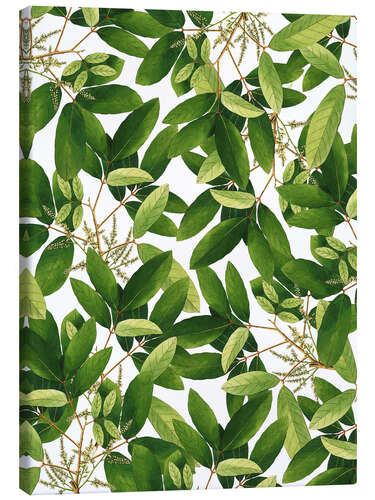 Canvas print Greenery