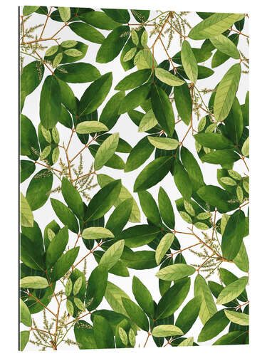 Cuadro de plexi-alu Greenery