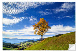 Sticker mural Isolated tree in autumn, Funes Valley, South Tyrol, Italy