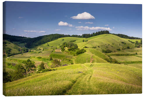 Lienzo Hills and clouds in summer, Kaiserstuhl, Germany