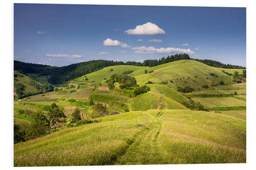 Tableau en PVC Hills and clouds in summer, Kaiserstuhl, Germany