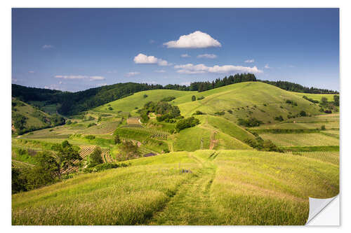 Wall sticker Hills and clouds in summer, Kaiserstuhl, Germany