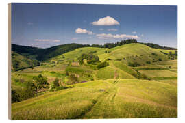 Wood print Hills and clouds in summer, Kaiserstuhl, Germany